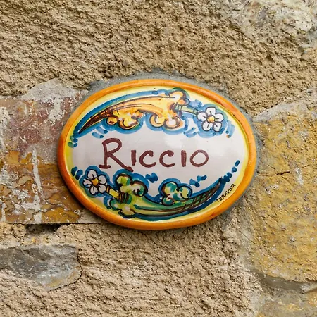 Il Cancellone - Riccio Montiano (Tuscany)